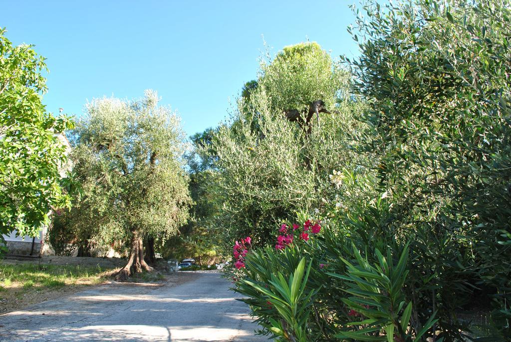 Villa Anna Residence Rodi Rodi Garganico Exterior foto